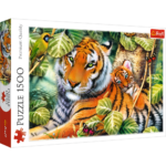 Two tigers