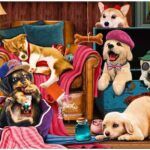 Puppy Dream House