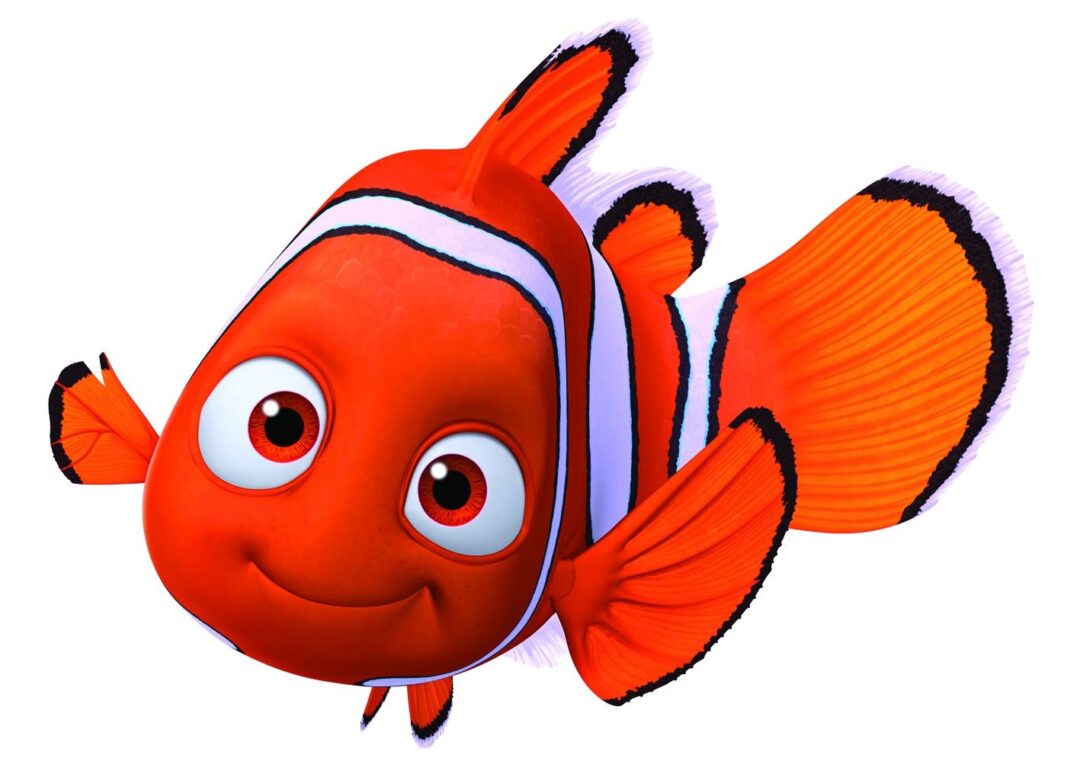 NIMO