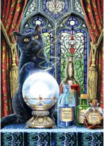 Magic Collection The Witch's Apprentice -  Premium Plus - Image 2