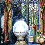 Magic Collection The Witch's Apprentice -  Premium Plus