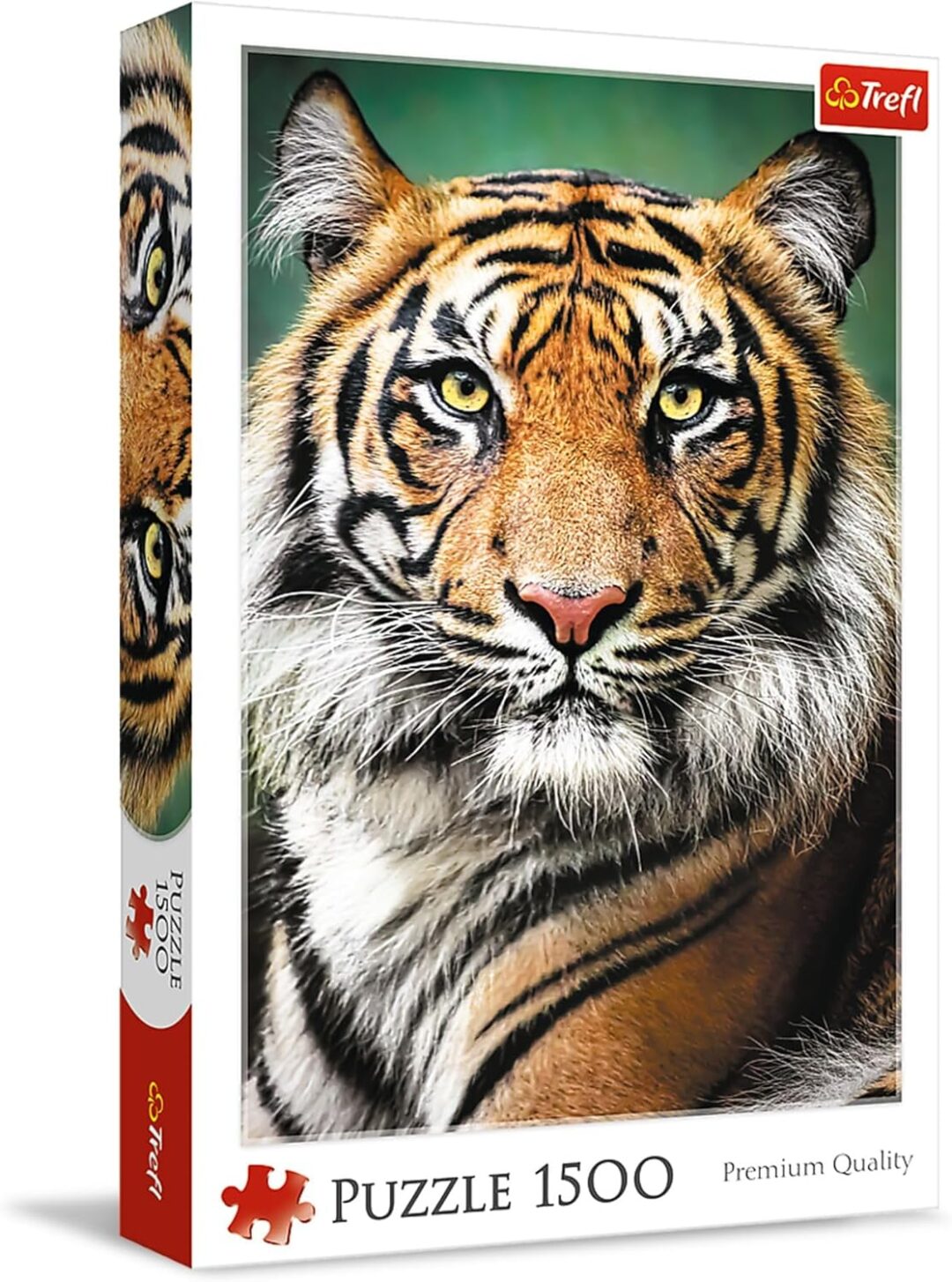 Portrait of a Tiger