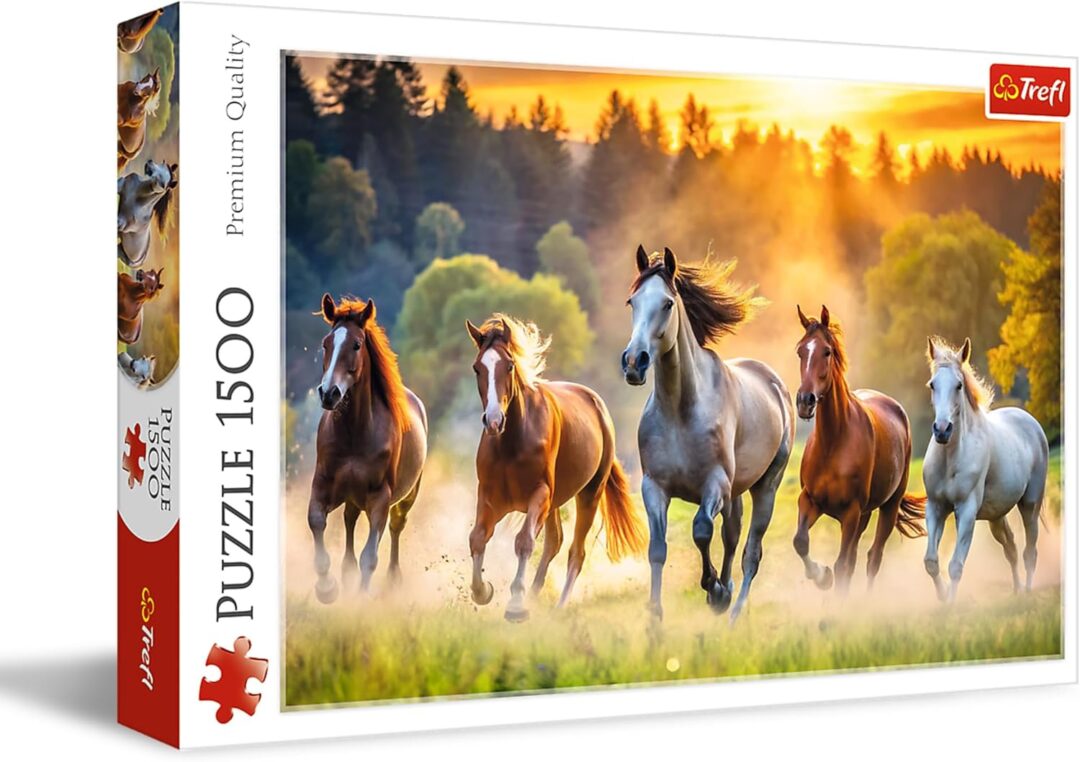 Wild horses