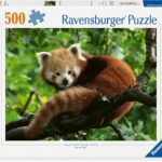 Cute Red Panda