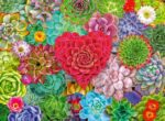 Succulent Love - Image 3