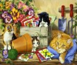 Little Bloomers Cat & Kittens
