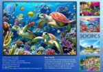 Sea Turtle - Image 5