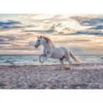 Evening Gallop – 500 Pieces – finished puzzle image