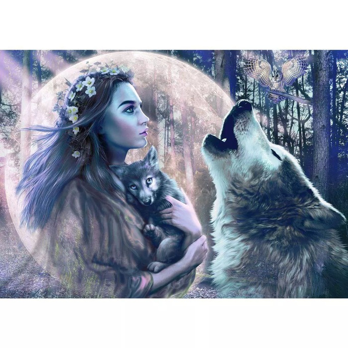 Moonlight Magic – 1000 Pieces – finished puzzle image