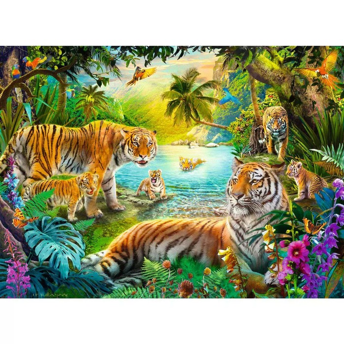 Tiger Family in the Oasis – 500 Pieces – finished puzzle image